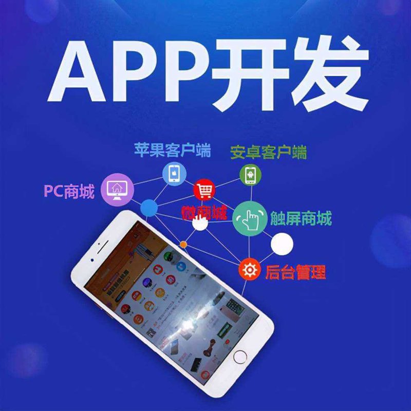 移动APP开发:把握时代的脉搏